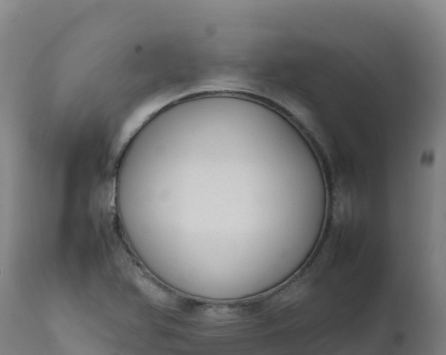 X0000112411366200908281804