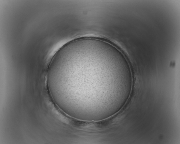 X0000112411367200908281804
