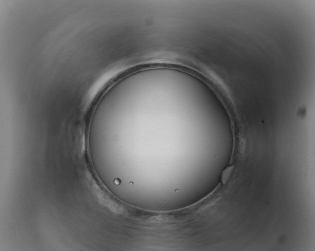 X0000112411368200908281804