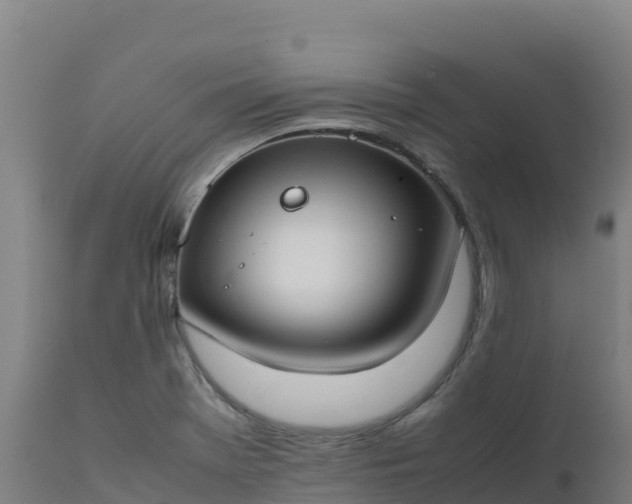 X0000112411369200908281804