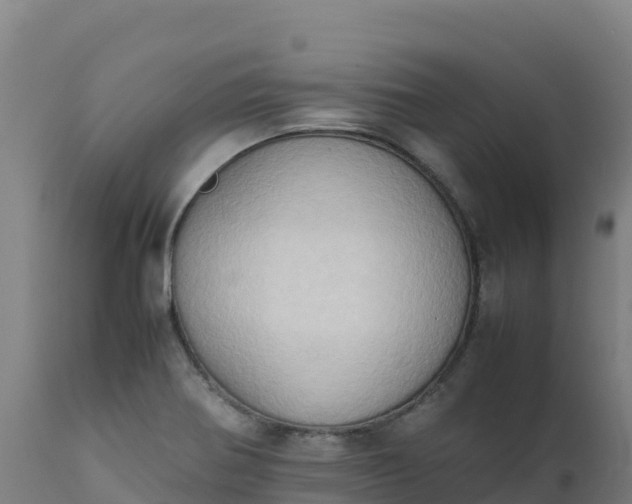 X0000112411370200908281804