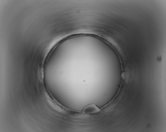 X0000112411372200908281804