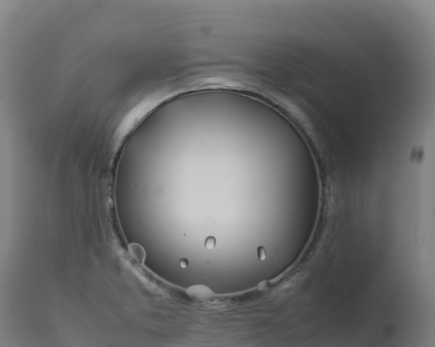X0000112411373200908281804