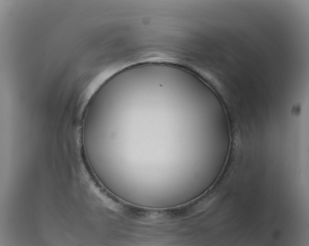 X0000112411375200908281804
