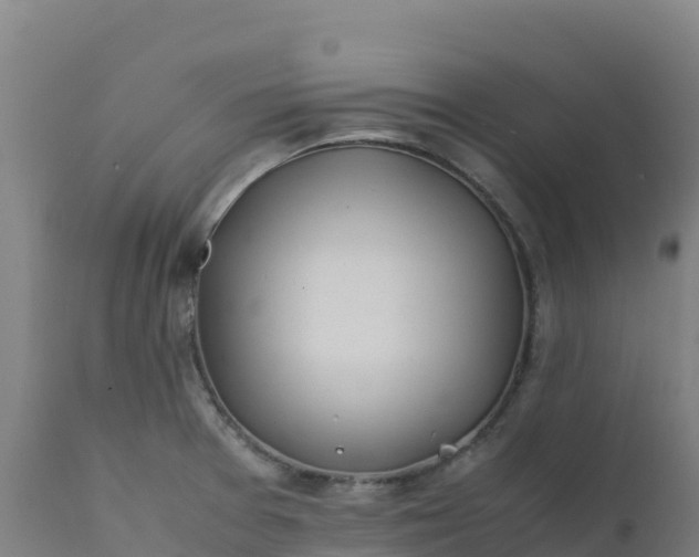 X0000112411377200908281804
