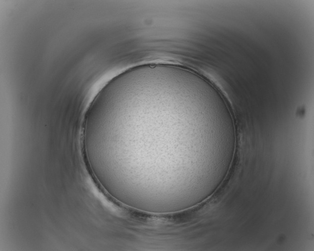 X0000112411379200908281804