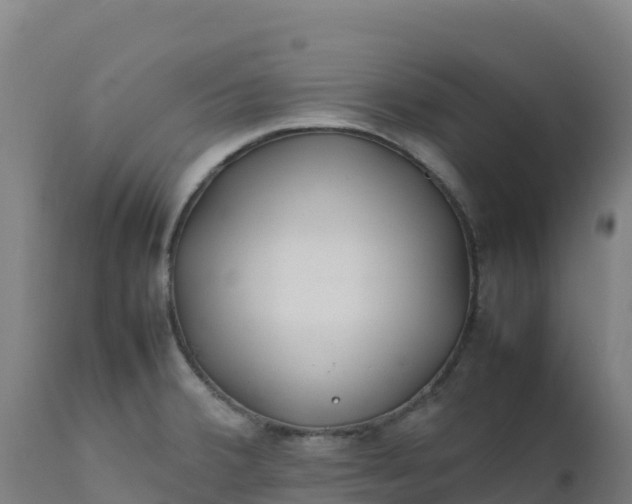 X0000112411380200908281804