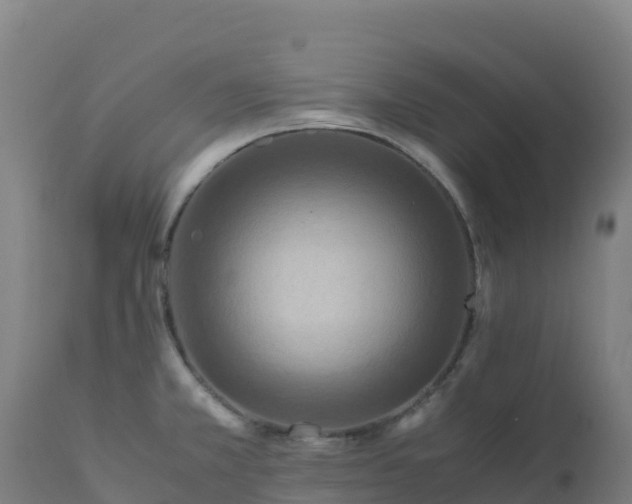 X0000112411381200908281804