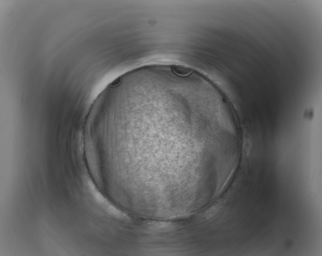 X0000112411382200908281804
