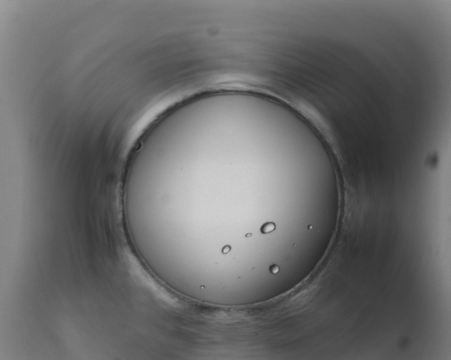 X0000112411384200908281804
