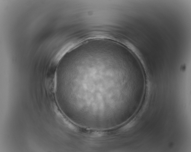 X0000112411385200908281804