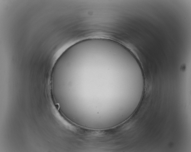 X0000112411387200908281804
