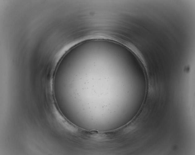 X0000112411388200908281804