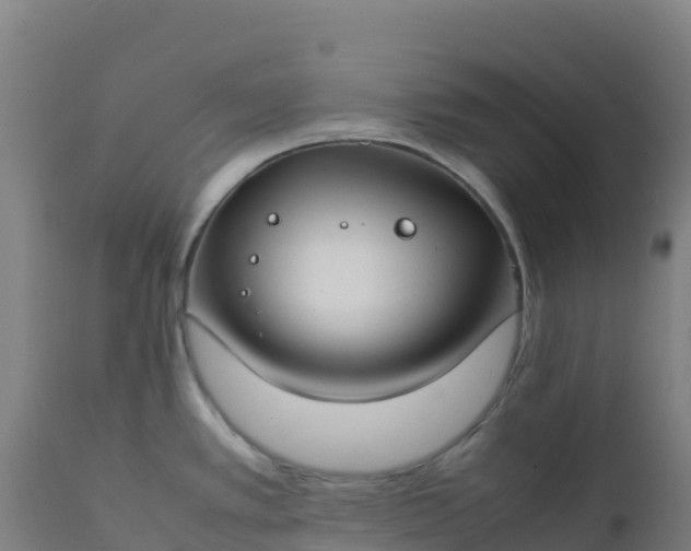 X0000112411389200908281804