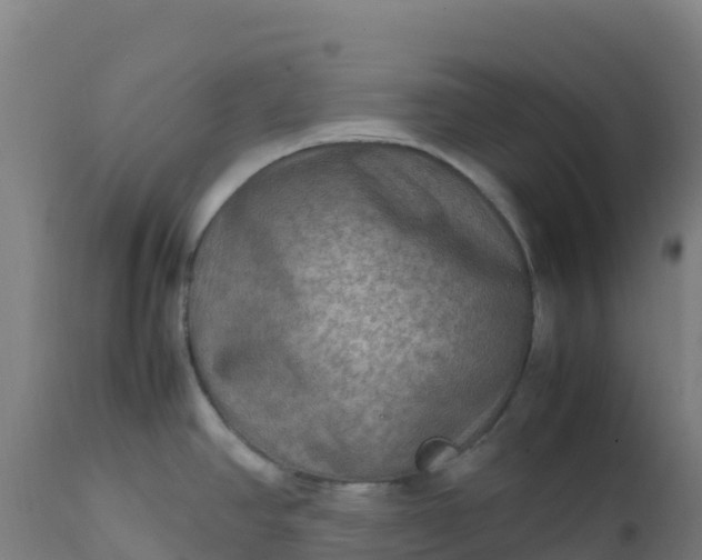 X0000112411390200908281804