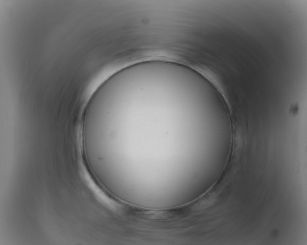 X0000112411391200908281804