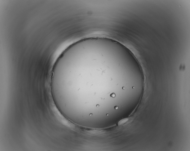 X0000112411392200908281804