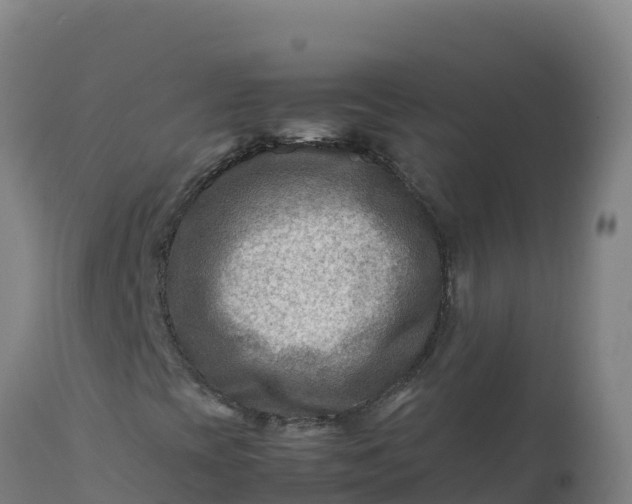X0000112411393200908281803