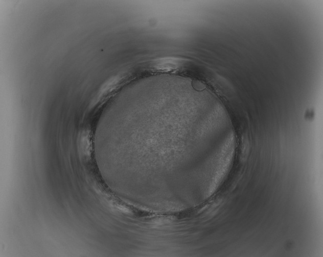 X0000112411394200908281803