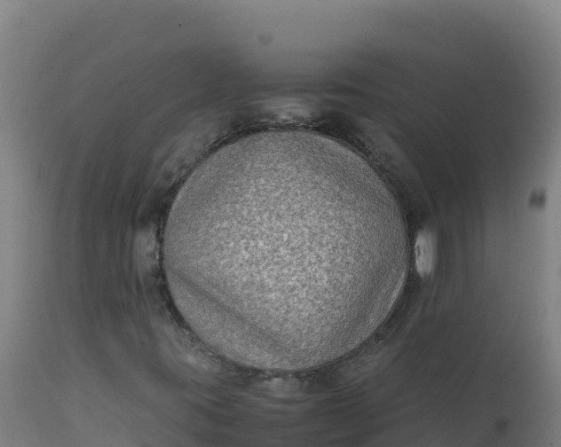 X0000112411395200908281803