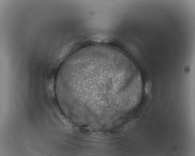 X0000112411396200908281803