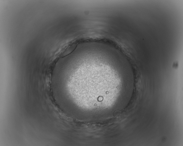 X0000112411397200908281803