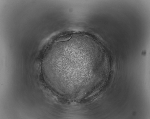 X0000112411398200908281803