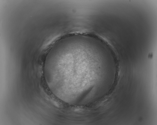 X0000112411399200908281803