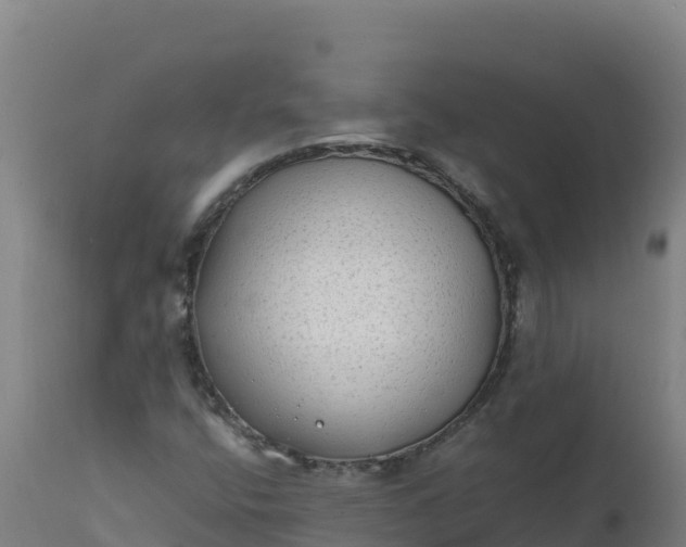 X0000112411400200908281803