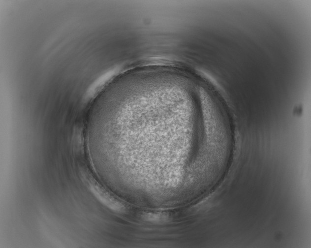 X0000112411403200908281803