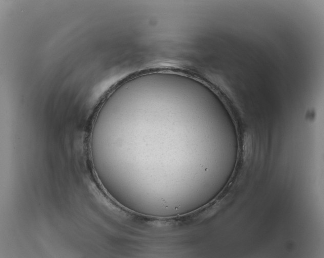 X0000112411404200908281803