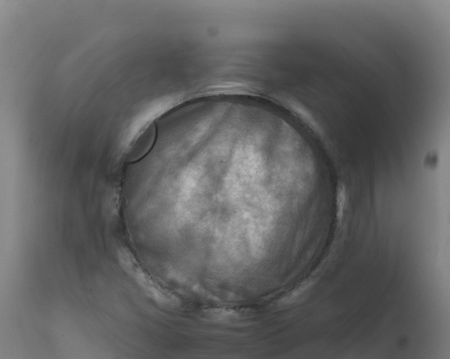 X0000112411405200908281803