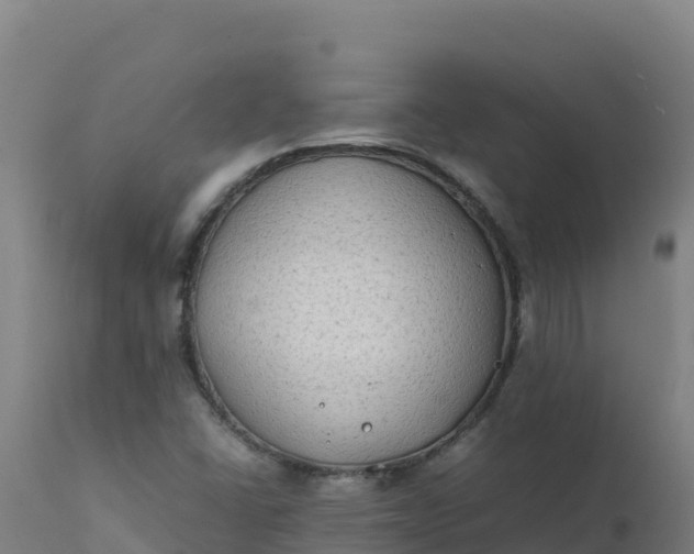 X0000112411406200908281803