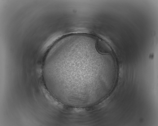 X0000112411407200908281803