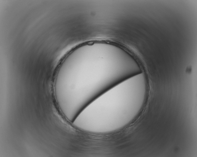 X0000112411412200908281803