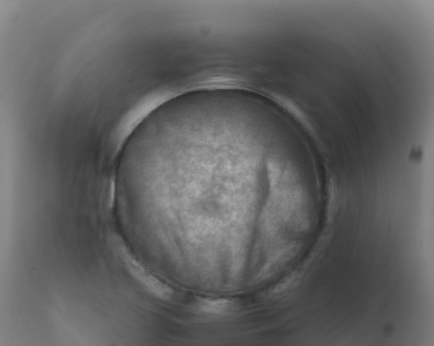 X0000112411413200908281804