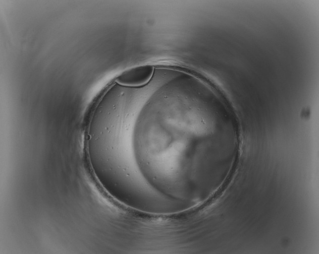 X0000112411414200908281804