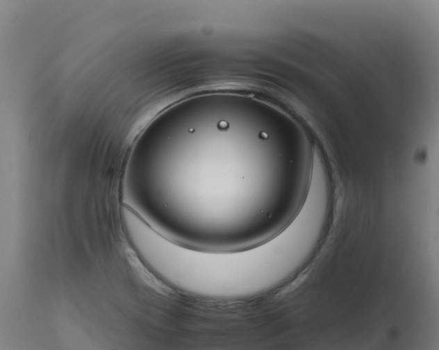 X0000112411417200908281804