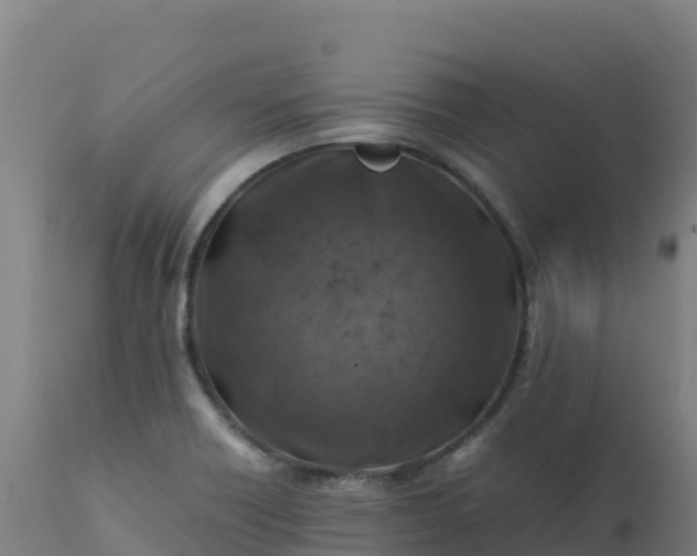 X0000112411418200908281804