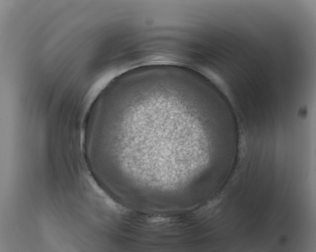 X0000112411419200908281804