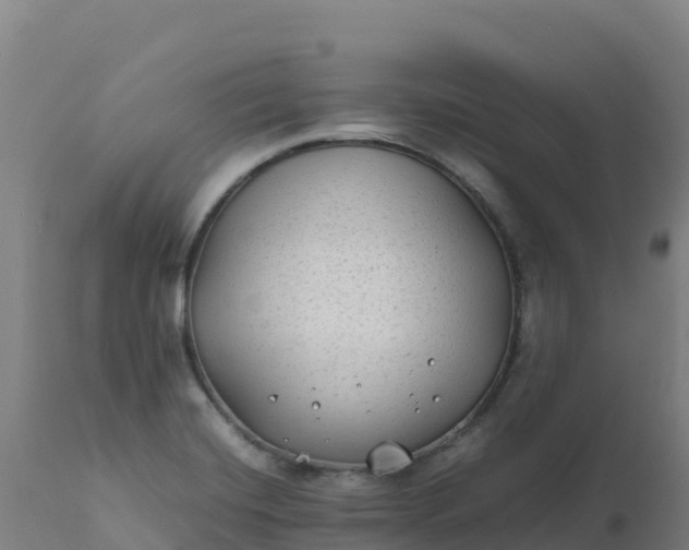 X0000112411420200908281804