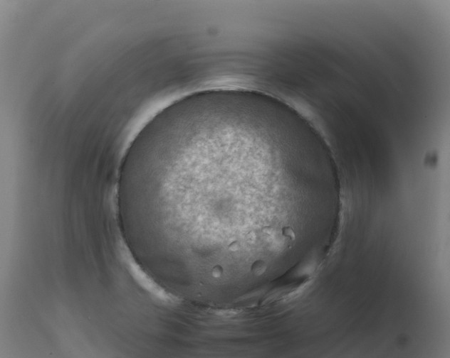 X0000112411421200908281804