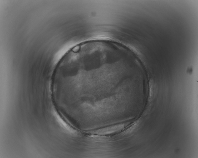 X0000112411422200908281804