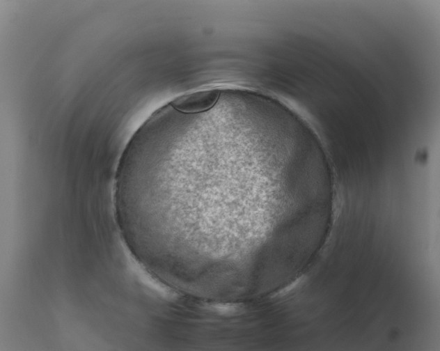 X0000112411423200908281804