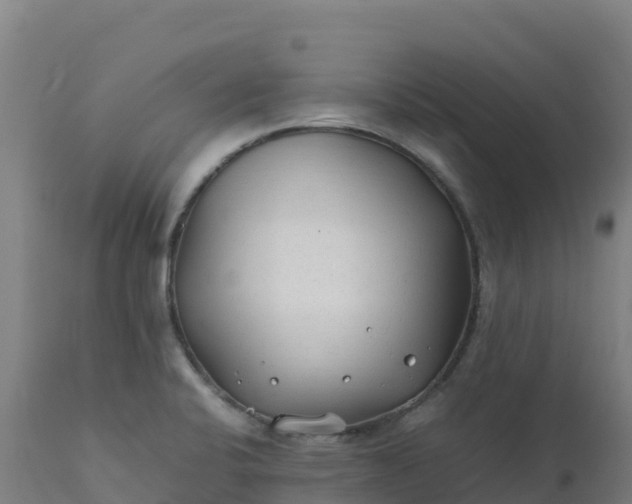 X0000112411424200908281804