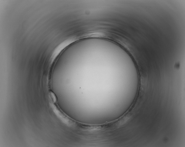 X0000112411426200908281804