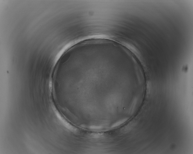 X0000112411428200908281804
