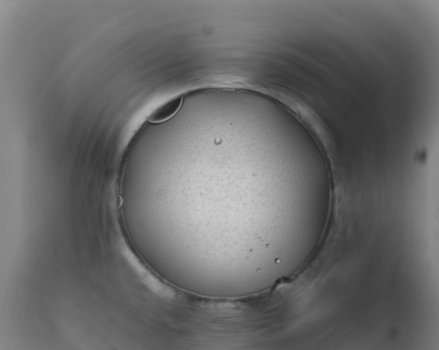 X0000112411432200908281804
