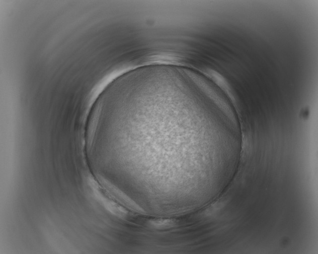 X0000112411435200908281804