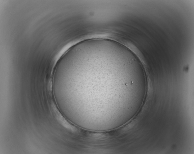 X0000112411436200908281804